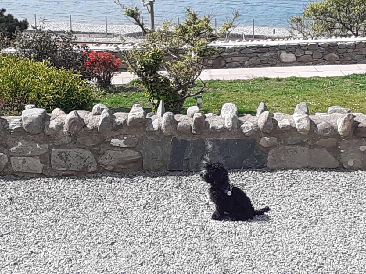 Talarfor Barmouth Villa Exterior photo